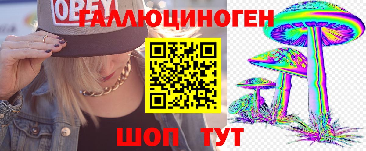 Карачаевск  Галлюциногенные грибы MAGIC MUSHROOMS  Вход с VPN  Галлюциногенные грибы Psilocybine cubensis 