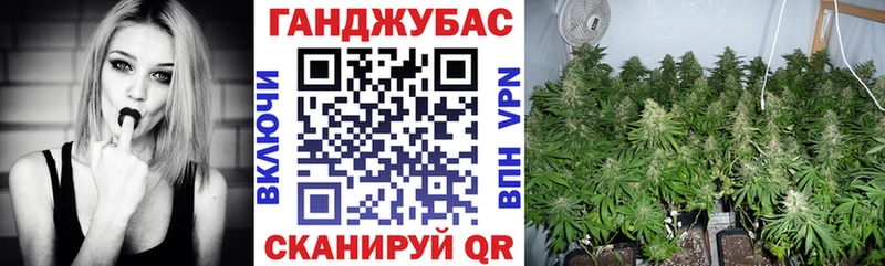где можно купить   Карачаевск  Конопля семена 