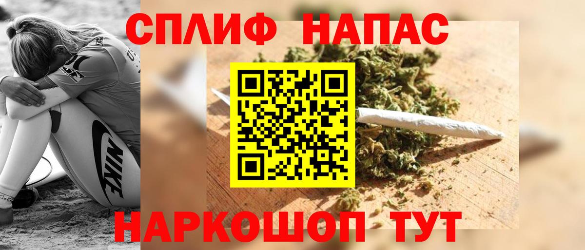 Каннабис индика  Шишки марихуана семена  Шишки марихуана White Widow  Вход с VPN  Карачаевск 